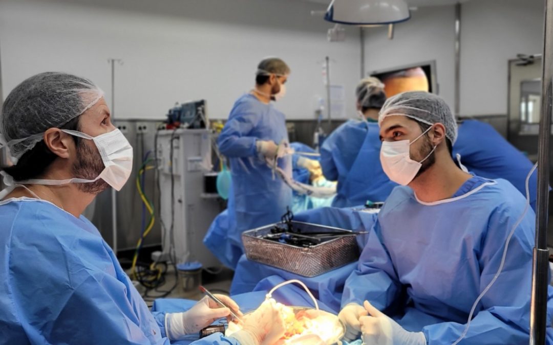 Santa Casa BH se destaca na área de transplantes em ano que o Brasil bate recorde nas doações de órgãos